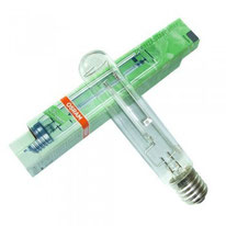 ampoules bulbes de rechange eclairage jardin