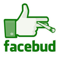 guide coffeeshop et cannabis sur facebook