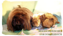 Unbelievable mit ihren beiden Kindern