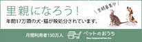 ペットシッター 横浜市、中区 ペットシッター、南区ペットシッター、横浜ペットシッター、横浜 キャットシッター、 猫シッター、散歩代行、山手 石川町 関内 伊勢佐木長者町 阪東橋  元町 中華街 山下町 猫専門 シッター 南区 鳥 熱帯魚 金魚 ペット お世話  お留守番 