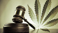 cannabis leglisation