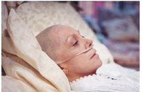 cannabis contre le cancer