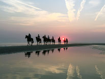Gruppe von Reitern auf Pferden am Strand vor Sonnenuntergang mit Spiegelung im Wasser