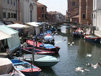 Häuser und Boote entlang eines Kanals in Chioggia in Italien