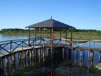 Naturschutzgebiet bei Rosolina Mare mit Dünen, Vegetation und Wasserflächen