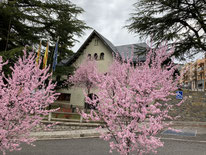 Frühling in den Pyrenäen (Aragon)