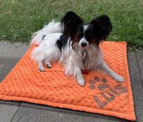 Hundedecke Outdoordecke