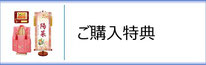 ひな人形インターネットご購入特典のページへ