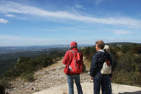 Bild: Wanderung Fôret des Cèdres, Zedernwald bei Bonnieux