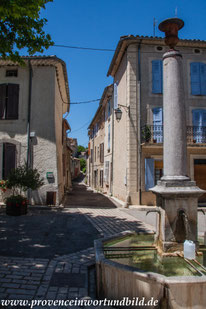 Bild: Lavendeltour hier Lavendelfeld bei Allemagne-en-Provence