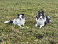 Donna und Don
