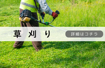 札幌便利屋Suirenの安い草刈り