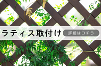 札幌便利屋Suirenの安いラティス取付け