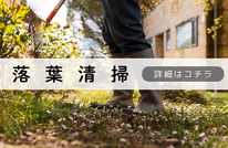 札幌便利屋Suirenの安い落葉清掃