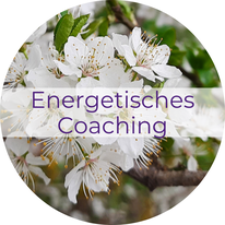 Katrin Pfeffer, Energetik Coaching