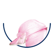 Ononis Spinosa – Dorniger Hauhechel