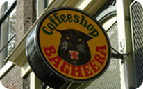 Coffeeshop Bagheera Amsterdam