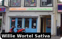 Coffeeshop Cannabiscafe Willie Wortel Sativa