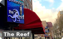 Coffeeshop The Reef Rotterdam