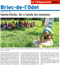 Tonte des moutons lors de la sortie en ferme pédagogique de l'école de Lothey