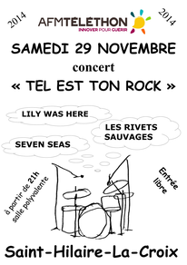 Tel est ton rock 29 novembre 2014 Saint Hilaire la Croix