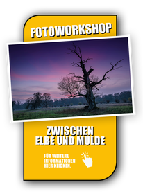 Anbieter von Fotoreisen Elbe und Mulde, Landschaftsfotografie