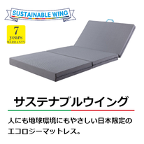 ヴィロブロックウイング