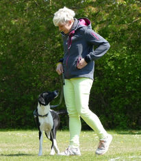 Alexandra Vermöhlen, Junghunde, Obedience & Tricktraining