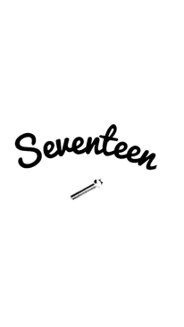seventeenagain ページ！