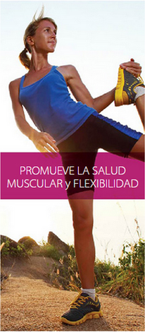 Promueve salud muscular y flexibilidad