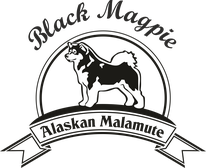 blackmagpie-alaskanmalamutes Webseite!