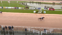 Milord de Cali, 3e place à Graignes 22/02/26