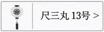 盆提灯 門提灯１３号のページへ