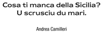 Benvenuti nel sito dedicato al Baglio di Pizzolungo !