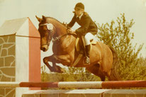 mein "Präge-Pferd": Hassan, geboren 1972