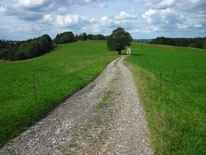 Rützengrüner Wander Acht