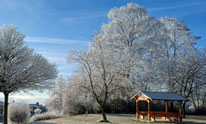 winterliche Wanderung bei Coschütz, 27.12.2025 von W. Roth