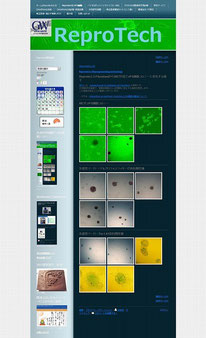 reprotinによるriPS細胞コロニー形成