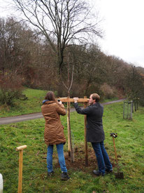 Der Dreibock wird gebaut (Foto: X. Scherz)
