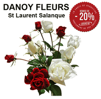 DANOY FLEURS  réduction loisirs 66