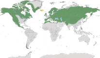 Karte zur Verbreitung des Kolkrabens (Corvus corax)