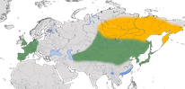 Karte zur Verbreitung der Rabenkrähe (Corvus corone corone)