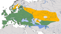 Karte zur Verbreitung der Dohle (Corvus monedula)