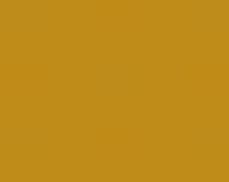 photo de la couleur Beige safran 50