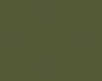 photo de la couleur Vert sauge foncé 116