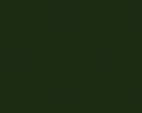 photo de la couleur Vert olive 115