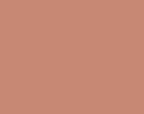 photo de la couleur beige brique 112