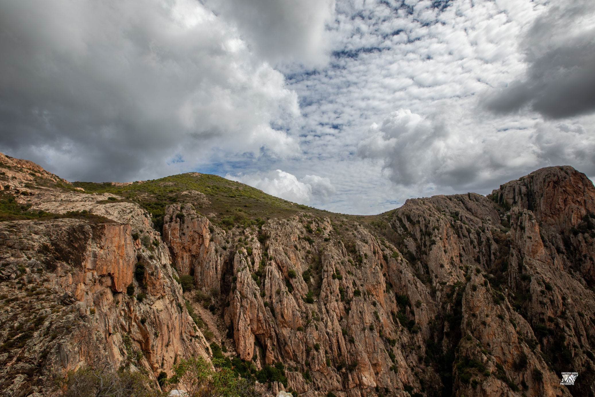 Corse
