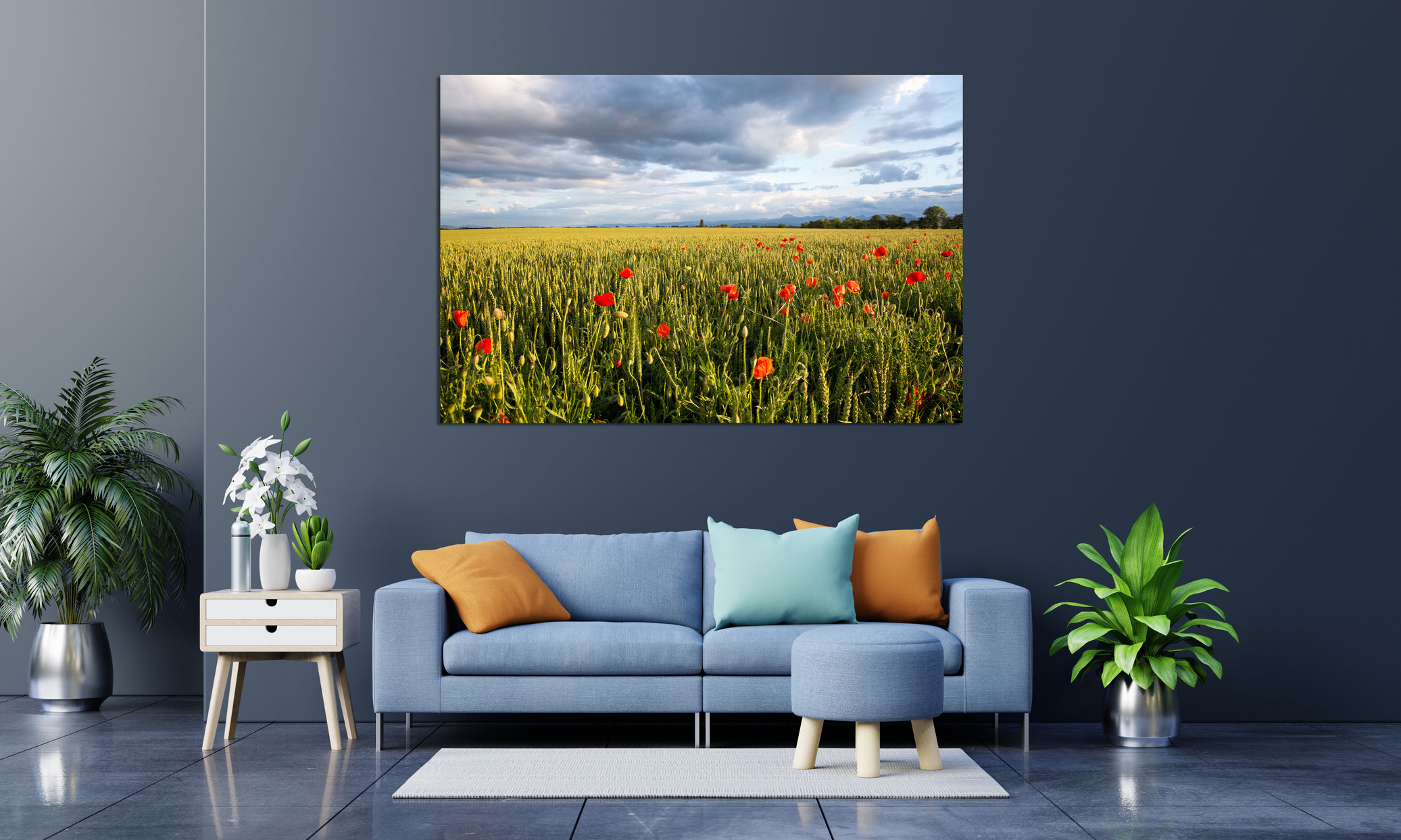 Champ de blé & coquelicots - Auvergne