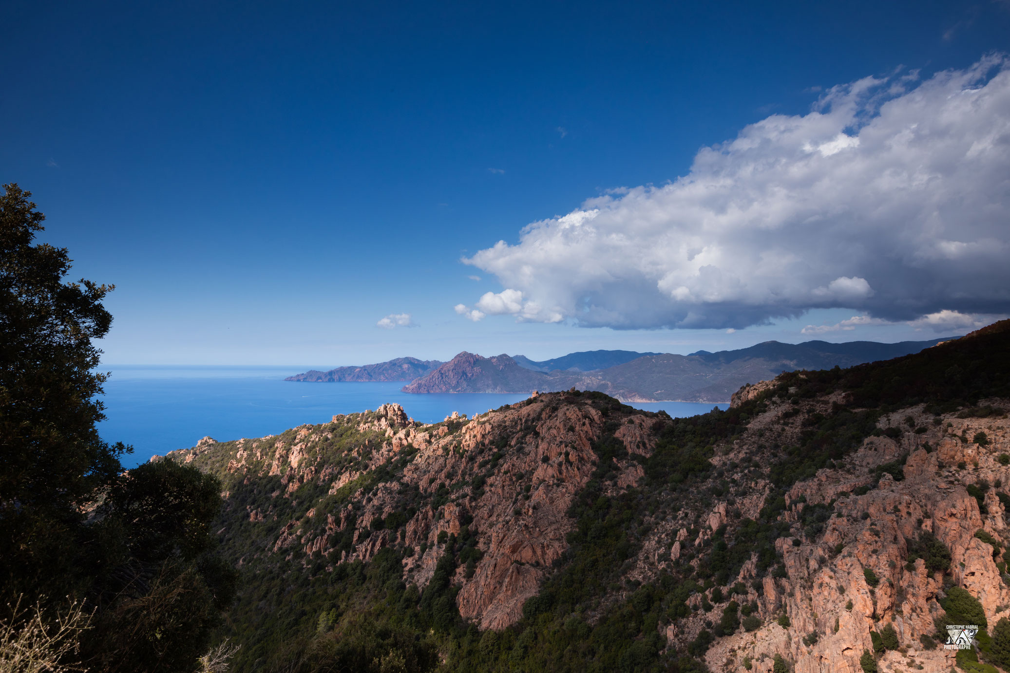 Corse